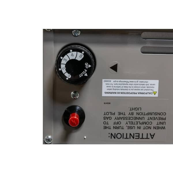 Comfort Glow 11,000 BTU 350 Sq. Ft. Direct Vent DUAL FUEL Wall Heater DVN11D